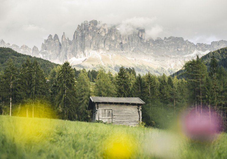 almhuette-mit-bergpanorama-rosengarten