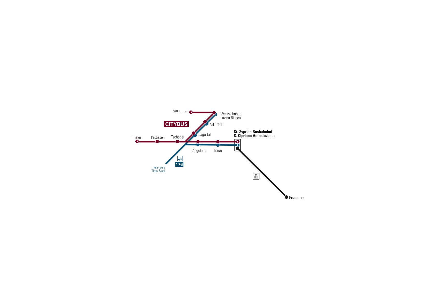 netz_tiers_citybus-1.jpg